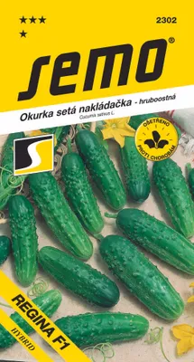 Obrázok produktu pre Uhorky nakl. Regina F1 HSEMO 2302