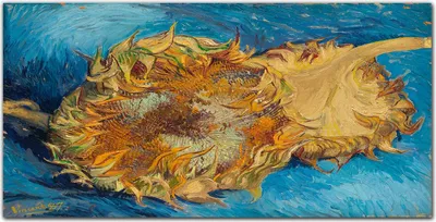 Produktbild von Coloray Küchenrückwand 120x60 Spritzschutz aus Glas - Van Gogh Sonnenblumen