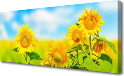 Produktbild von Tulup Leinwand-Bilder 125x50 Wandbild Canvas Kunstdruck Sonnenblumen Pflanzen