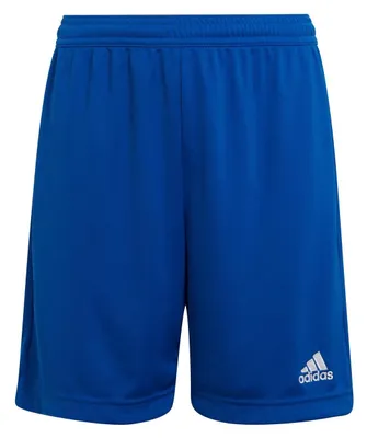 Produktbild von adidas Entrada 22 Shorts 164 ROYBLU