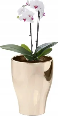 Produktbild von Runder Blumentopf aus Keramik, gold, 17 cm