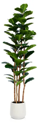 Produktbild von Kunstpflanze Ficus lyrata 180 cm, Künstliche Pflanzen mit weißem Topf für die Raumdekoration