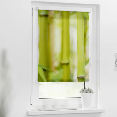 Obrázek produktu pro Roleta propouštějící denní světlo 80x150cm Bambus