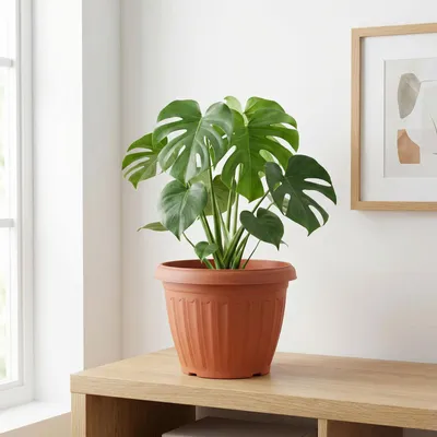 Produktbild von Blumentopf Ø25 cm Kunststoff – Terrakotta-Farbe – Leicht und langlebig – Für den Innen- und Außenbereich – Ohne Untersetzer [11992]