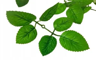 Produktbild von Domosfera Kleine Künstliche Grüne Blätter für Seifenblumen