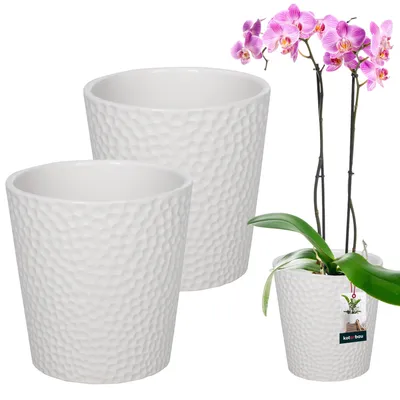 Two white ceramic planters and a pink orchid plant.