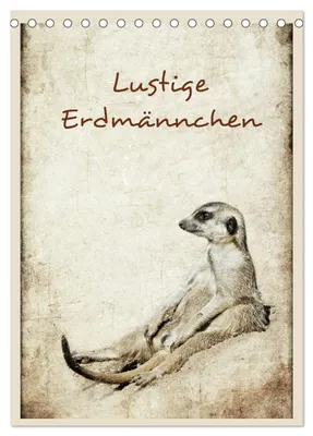 Produktbild von Lustige Erdmännchen (Tischkalender 2027 DIN A5 hoch), CALVENDO Monatskalender