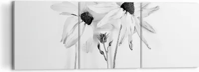 Produktbild von Bild auf Leinwand - Leinwandbild - 3 Teile - Verwelkt Blumen Monochrom - 120x40cm - Wand Bild - Wanddeko - Wandbilder - Leinwanddruck - Bilder - Wanddekoration - Leinwand bilder - CA120x40-4737