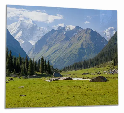 Produktbild von Wallario Herdabdeckplatte aus Glas, Größe 60 x 52 cm 1-teilig, Motiv Gebirgspanorama Himmelsgebirge