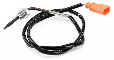 Produktbild von DELPHI TS30387-12B1 Abgastemperatursensor für VW Polo Schrägheck (6R1, 6C1) 705mm