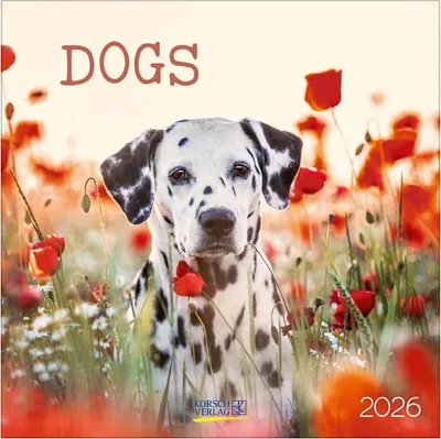 Zdjęcie produktu dla Psy 2026