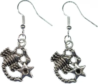 Produktbild von Skorpion Ohrringe Miniblings Hänger Sternzeichen Sternbild Astrologie Stern