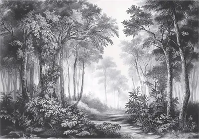 Produktbild von Fototapete 3D Effekt Wald Schwarz Weiß - 350x250 cm - inklusive kleister - Vlies Tapete - Vliestapete Wohnzimmer Schlafzimmer Küche Modern Wandtapete