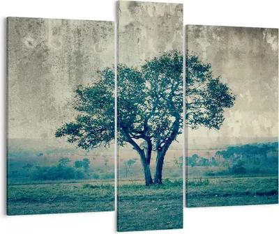 Produktbild von Bild auf Leinwand - Leinwandbild - Baum Natur Feld - 95x80cm - Wand Bild - Wanddeko - Wandbilder - Leinwanddruck - Bilder - Kunstdruck - Wanddekoration - Leinwand bilder - Wandkunst - CB95x80-3627