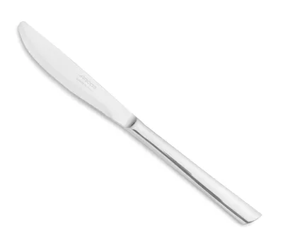 Produktbild von Tafelmesser Arcos Toskana  570900 Monoblock aus einem Stück Edelstahl 18/10, Dicke 3 mm  und Klinge  von 10 cm im Karton