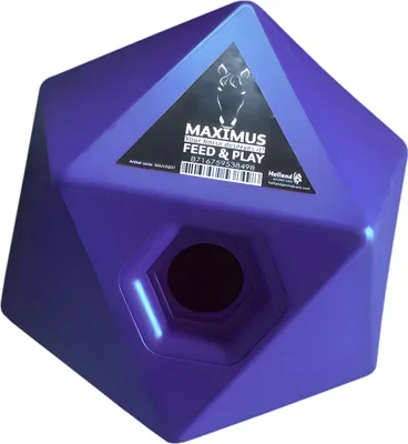 Productafbeelding van Maximus Feed & Play Snackblokje, blauw