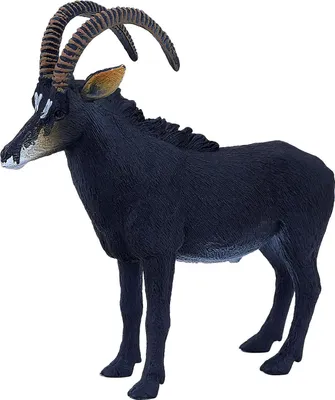Immagine prodotto di Pianeta Animale Rappenantilope