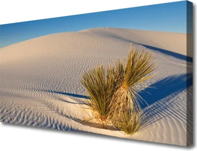 Produktbild von Tulup Leinwand-Bilder 100x50 Wandbild Canvas Kunstdruck Wüste Landschaft