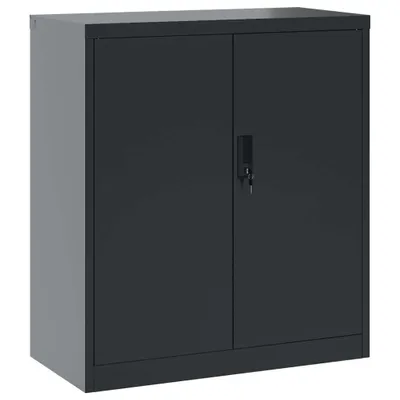 A dark gray metal filing cabinet with two doors and a lock is shown against a white background.