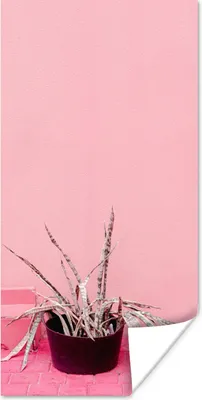 Produktbild von MuchoWow® Poster Sommer - Rosa - Pflanzen 20x40 cm - Plakat - Foto