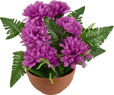 Produktbild von Herbstschale mit lila Chrysanthemen und Farnen 25 x 24 cm