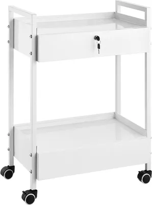Immagine prodotto di Carrello da laboratorio - Carrello multiuso a 2 piani in acciaio inox - Carrello mobile per medicinali - Carrello di servizio bianco con ruote piroettanti - Ideale per laboratorio, ospedale, studio dentistico, salone, ecc.