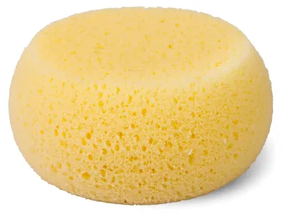 Produktbild von Saugschwamm/1 Stück/gelb