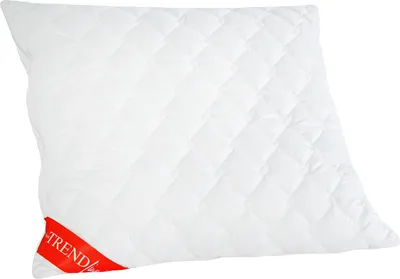 Immagine prodotto di Cuscino Badenia Trendline Micro lavabile in lavatrice - 80x80 cm
