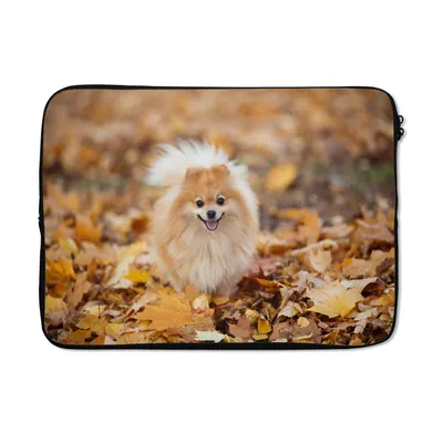 Produktbild von MuchoWow® Laptop Hülle 14 ZollPomeranian im Herbst Laptoptasche - Laptoptasche - Stoßsicher - Schutzhaube
