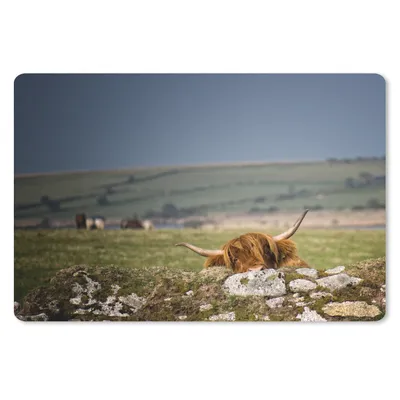 Produktbild von MuchoWow® Schreibtischunterlage Schottische Highlander - Steine - Gras 60x40 cm - XXL Mauspad - Großes Mauspad