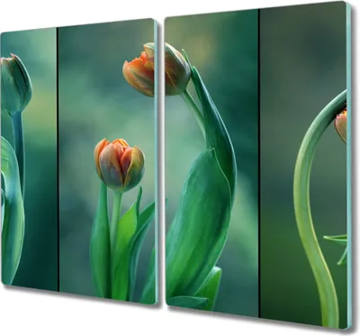 Produktbild von Coloray Hackbrett Herdabdeckplatte 2x30x52 cm Küchenbrett Kochplattenabdeckung Schneidebrett - Blumen Pflanzen Tulpen