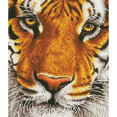 Produktbild von Bengal Magic Diamond Dotz: 42x36 cm