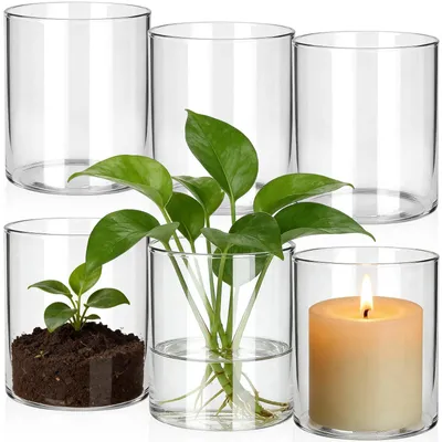 Zylindrische Glasvasen, 6er-Set, 10 x 8,5 cm, transparent, rund