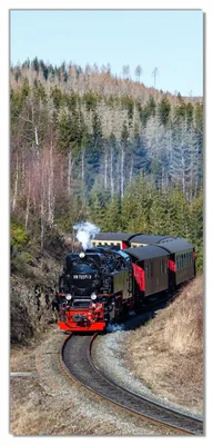 Produktbild von Türtapete Türposter Dampflok im Waldtal - Größe: 93 x 205 cm