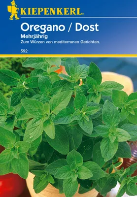 Zdjęcie produktu dla Kiepenkerl 592 Oregano / Dost bylina