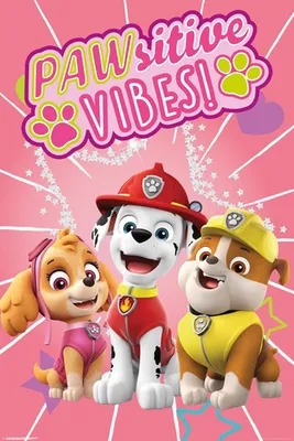 Produktbild von Paw Patrol - Poster - Pawsitive Vibes