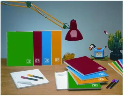 Image de Blasetti One Color Carnet de notes Multicolore
