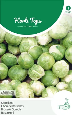Produktbild von Rosenkohl Groninger | Rosenkohlsamen von Hortitops [MHD 07/2026]