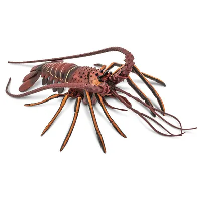 Obrázek produktu pro Safari Ltd Spiny Loobster Brown / Orange One Size