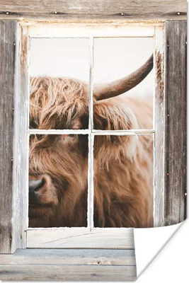 Produktbild von MuchoWow® Poster Schottischer Highlander - Ansicht - Fenster 120x180 cm - Kunstposter