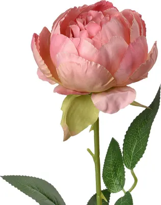 Obrázek produktu pro Clayre & Eef Umělé květiny Rose 62 cm růžová plastová