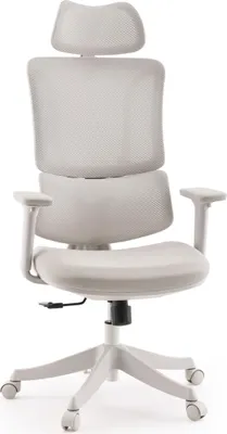 Produktbild von MyBuero Home Office Bürostuhl Ergomy Colore Schreibtischstuhl mit Armlehnen (höhenverstellbar) Stoff / Netzstoff Drehstuhl