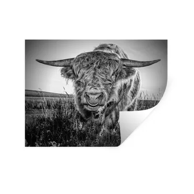 Produktbild von MuchoWow® Wandtattoo Wandsticker Wandaufkleber Schottischer Highlander - Schwarz und Weiß 120x90 cm Selbstklebend und Repositionierbar - Aufkleber