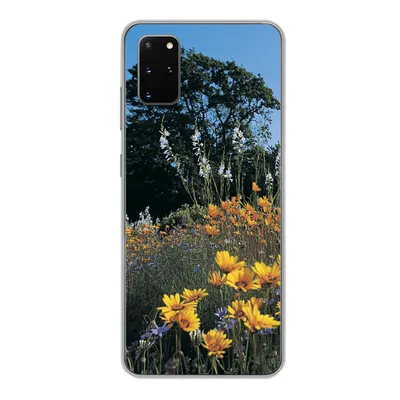 Produktbild von MuchoWow® Handyhülle Schutzhülle Hülle für Samsung Galaxy S20 Plus Blumen - Natur - Farbe Silikon Softcase Handy Hülle - Hartschale