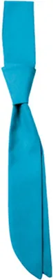Image de CG Workwear 00150-01 | Cravate courte Siena / e Oeko-Tex 100 - Couleur : Turquoise - Taille : One Size