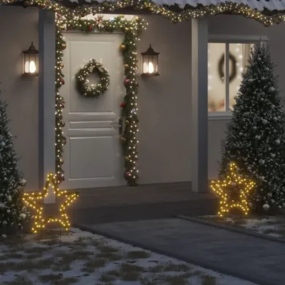 Image de Étoile de Noël avec piquet de terre et 80 LED 60 cm