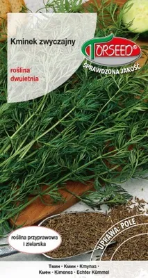 Produktbild von Samen von Kümmel, Carum carvi 2g - Torseed