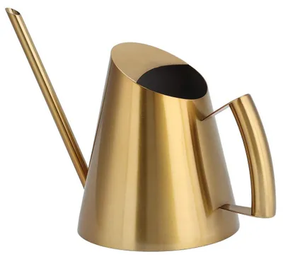 Image de Arrosoir en acier inoxydable - Long bec, outil de jardinage pour intérieur et extérieur (400 ml)