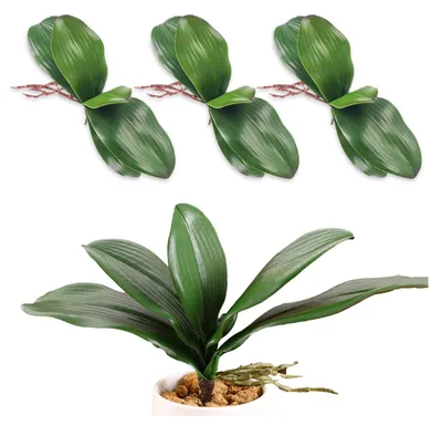Image de 3 feuilles d'orchidée artificielles - Décoration réaliste pour la maison et les événements