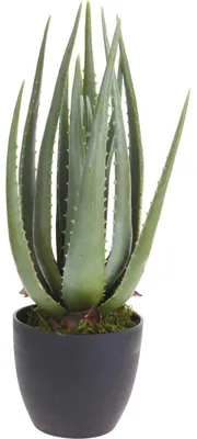Produktbild von ProGarden Kunstpflanze im Topf Aloe Vera 25x45 cm